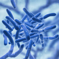 Probiotic Power