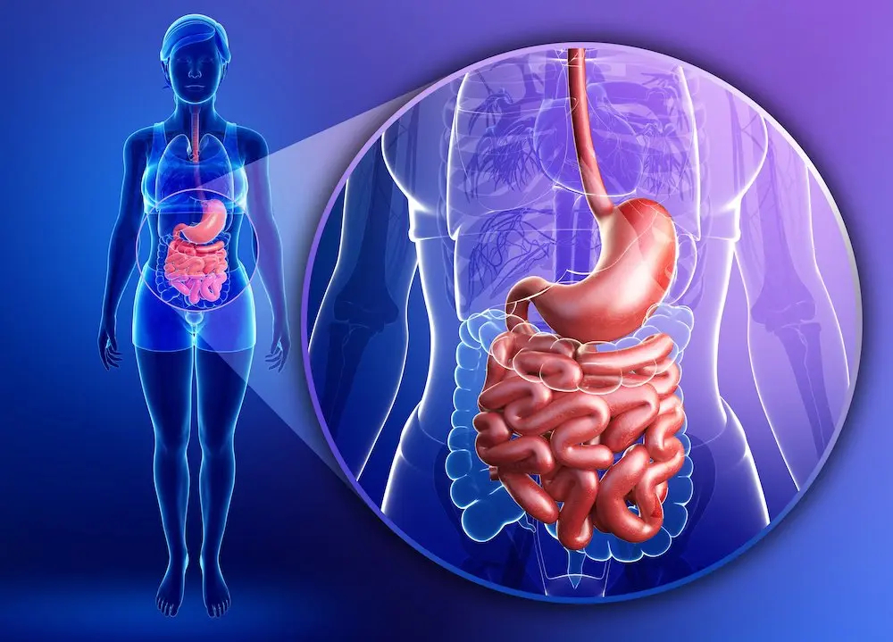 Digestive Relief